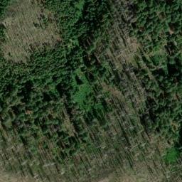 Satellite imagery of Ponyshoe Mine, US