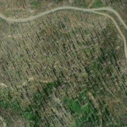 Satellite imagery of Ponyshoe Mine, US