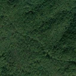Satellite imagery of Yanevitsa, BG
