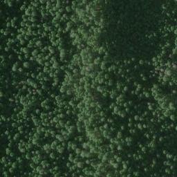 Satellite imagery of Cobb Mine, US