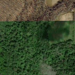 Satellite imagery of 106, CA