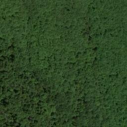 Satellite imagery of Samuels Point, US