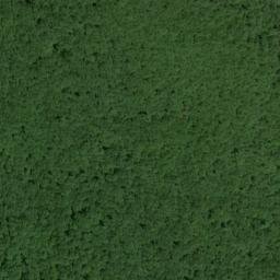 Satellite imagery of Samuels Point, US