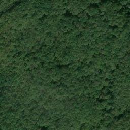 Satellite imagery of Yanevitsa, BG