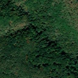 Satellite imagery of Vasilya, BG