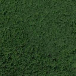 Satellite imagery of Samuels Point, US