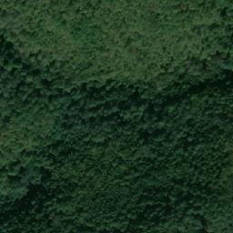 Satellite imagery of Yanevitsa, BG