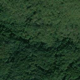 Satellite imagery of Yanevitsa, BG