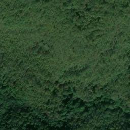 Satellite imagery of Yanevitsa, BG