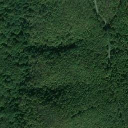 Satellite imagery of Petkova Bardchina, BG