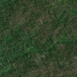 Satellite imagery of Munson Mine, US