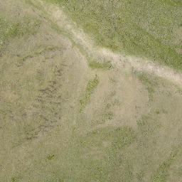 Satellite imagery of Holloway Ridge, US