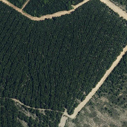 Satellite imagery of survey_point, PT