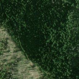 Satellite imagery of Tin Cup Mine, US