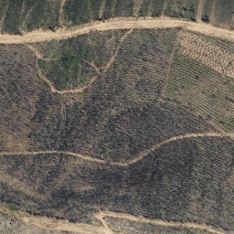 Satellite imagery of survey_point, PT