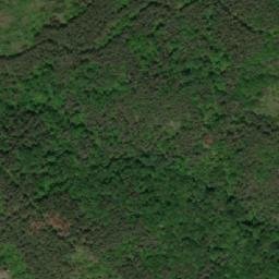 Satellite imagery of TT29, BG