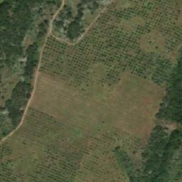 Satellite imagery of TT21, TR