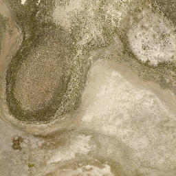 Satellite imagery of Brushy Point, US