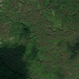 Satellite imagery of TT29, BG