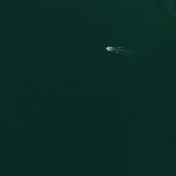 Satellite imagery of Stony Point, US