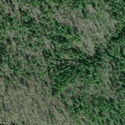 Satellite imagery of Shelly Creek Ridge, US