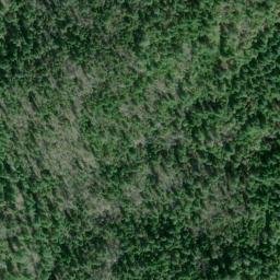 Satellite imagery of Shelly Creek Ridge, US