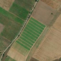 Satellite imagery of TT40, TR
