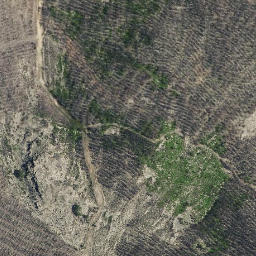 Satellite imagery of survey_point, PT