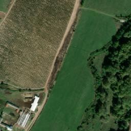 Satellite imagery of TT36A/1A/, BG