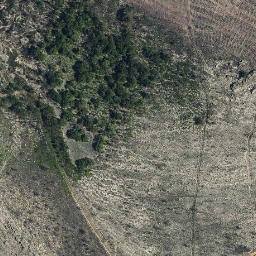 Satellite imagery of survey_point, PT