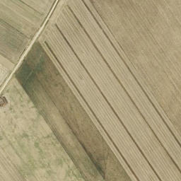 Satellite imagery of survey_point, ES
