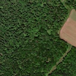 Satellite imagery of Maple Ridge, US