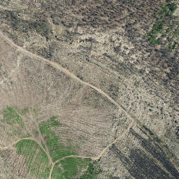 Satellite imagery of survey_point, PT