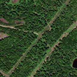 Satellite imagery of Maple Ridge, US