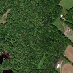 Satellite imagery of Maple Ridge, US