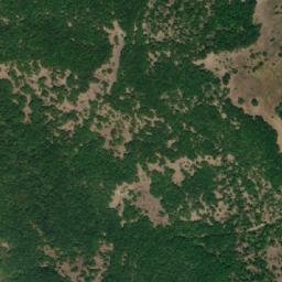 Satellite imagery of Davčevo Trlo, MK