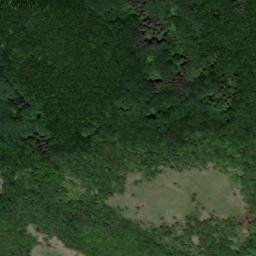 Satellite imagery of TT10, BG