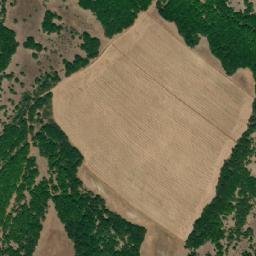 Satellite imagery of Davčevo Trlo, MK