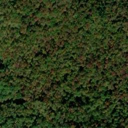 Satellite imagery of Paines Summit, US