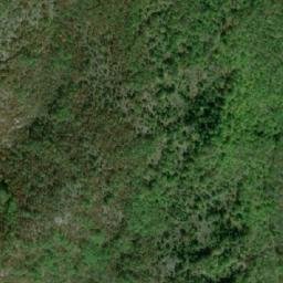 Satellite imagery of TT49, BG