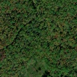 Satellite imagery of Paines Summit, US