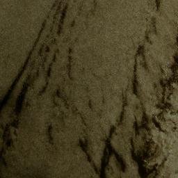 Satellite imagery of Dinsmore Point, US