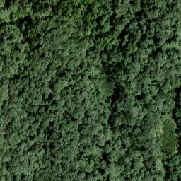 Satellite imagery of Dinsmore Point, US
