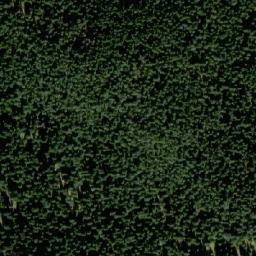 Satellite imagery of TT36, BG