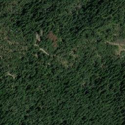 Satellite imagery of TT19, BG