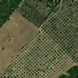 Satellite imagery of TT6, TR