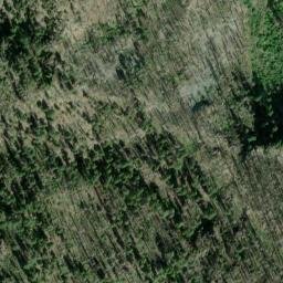 Satellite imagery of Big Buck Ridge, US