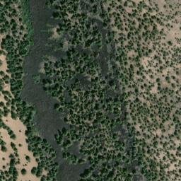 Satellite imagery of Padgetts Bluff, US