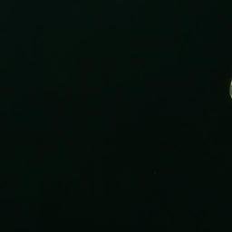Satellite imagery of Walker Point, US