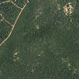 Satellite imagery of survey_point, ES